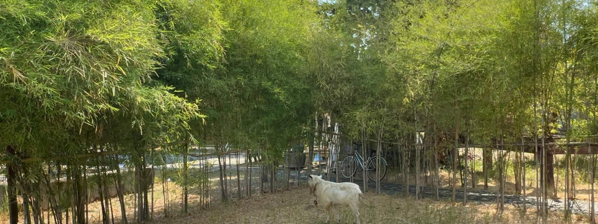 River Coves Resorts 2026 17